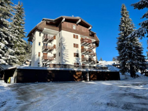 Sunny two room apartment in Campo Carlo Magno